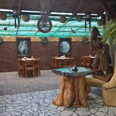 Guest house Roza *