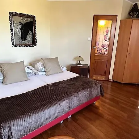 Pensionat Roza Chłapowo