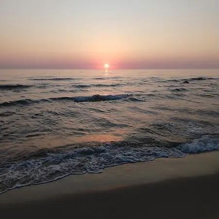 Pensión Róża
