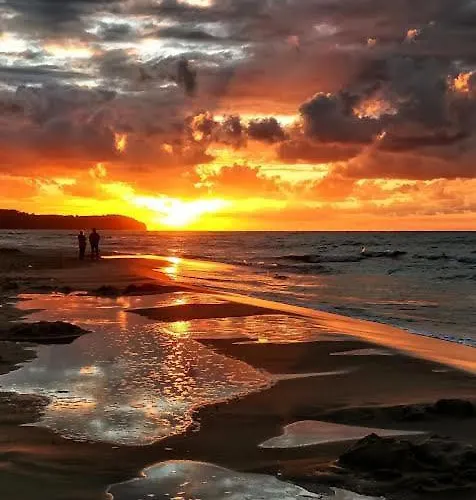 بيت ضيافة Roza