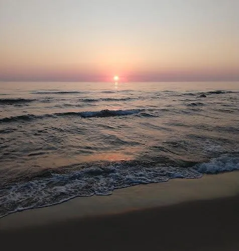 بيت ضيافة Roza