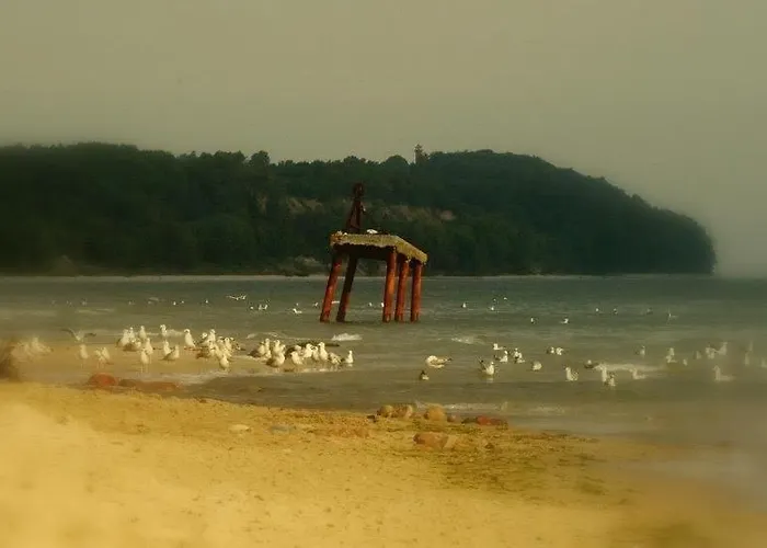 Roza بيت ضيافة 3*